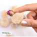 نبات سه طعم معطر