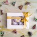 چای لاغری و تناسب اندام 36عددی چای لاغری و تناسب اندام 36عددی